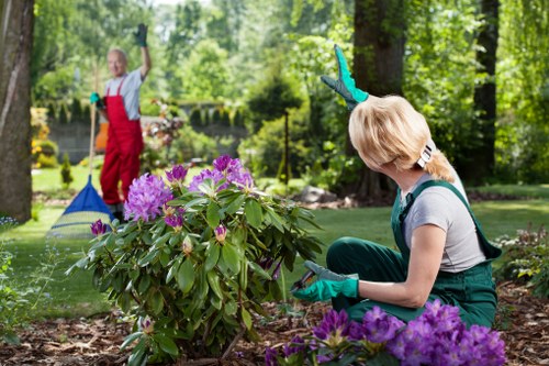 Beautiful Ilford garden with blooming flowers