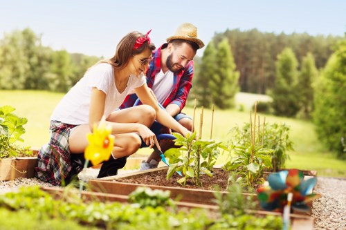 Preparing garden for professional clearance in Ilford
