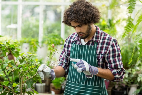 Gardener measuring a hedge in Ilford before trimming