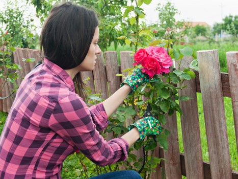 A woman wearing a pink and purple checkered shirt and floral gardening gloves is trimming a lush green hedge with vibrant pink flowers in a well-maintained garden. The hedge runs along a wooden picket fence, which divides the garden from the surrounding outdoor space. In the background, there are tall trees and a partly cloudy sky, indicating a mild weather day. The garden area features neatly cut grass, and the hedge appears healthy and dense, with bright blossoms providing a focal point. The scene suggests careful garden maintenance typical of professional outdoor landscaping services, such as those offered by Hedge Trimming Ilford, with a natural landscape setup inclusive of plants, soil patches, and garden fencing, reflecting a tidy and vibrant outdoor environment in Ilford area.